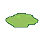 An early lily