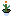 One flower