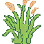 Sprout