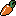 A carrot